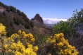 /album/fotogaleria-fotogaleria/imag0808-jpg2/