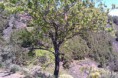 /album/fotogaleria-fotogaleria/imag0809-jpg/
