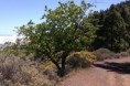 /album/fotogaleria-fotogaleria/imag0812-jpg/