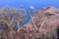 /album/fotogaleria-fotogaleria/imag1261-jpg/
