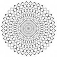 /album/mandalas/imagesca1f3g64-jpg/